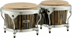 Pearl Havana Series PBF300HV - Bongos - Liquid Gold