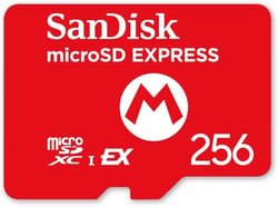 Carte mémoire micro SD express 256 Go  SanDisk