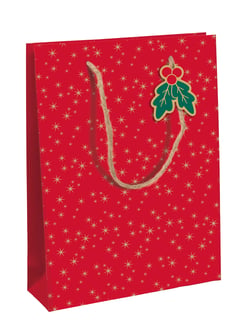 Sac cadeau Clairefontaine - Holly - Taille L 26,5 x 14 x 33 cm