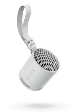 Enceinte portable Sony - SRS-XB100 - Bluetooth - Gris
