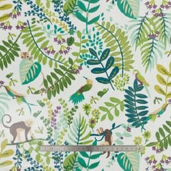 Coupon toile enduite - 50x66cm - monkey