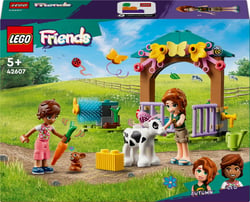 FRIENDS ETABLE DU VEAU D’AUTUMN