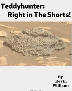 Teddyhunter: Right in the Shorts - teddyhunter, #8