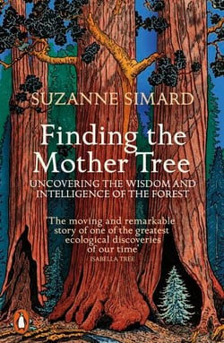 Finding the Mother Tree - Uncovering the Wisdom and Intelligence of the Forest