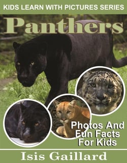 Panthers Photos and Fun Facts for Kids - Kids Learn With Pictures, #112