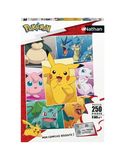 Puzzle Types de Pokémon - 250 pièces