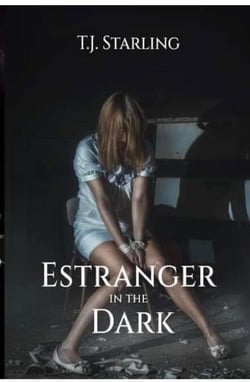 Estranger in the Dark - Detective Gerald McNeil Psychological Thriller, #1