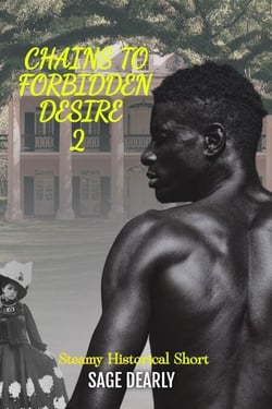 Chains To Forbidden Desire 2 - Plantation Shadows, #2