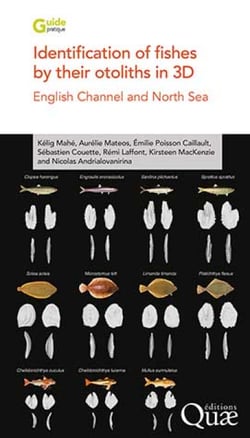 Identification of fishes by their otoliths in 3D - English Channel and North Sea