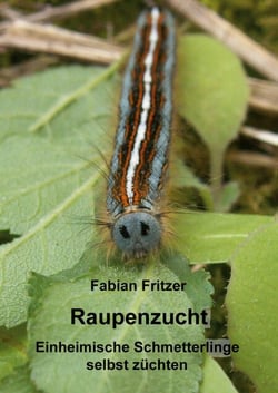 Raupenzucht - Einheimische Schmetterlinge selbst züchten