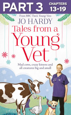 Tales from a Young Vet: Part 3 of 3 - Mad cows, crazy kittens, and all creatures big and small