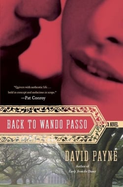 Back to Wando Passo - A Novel