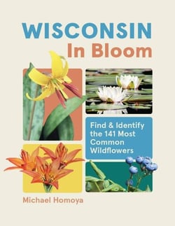 Wisconsin in Bloom - Find and Identify the 141 Most Common Wildflowers