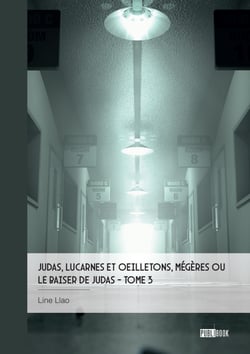 Judas, lucarnes et oeilletons, Mégères ou Le baiser de Judas - Tome 3 - Mémoires vives, journal d’une crise