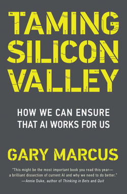 Taming Silicon Valley - How We Can Ensure That AI Works for Us