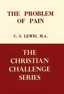The Problem of Pain