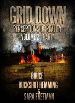 Grid Down Perceptions Of Reality - Part 1, #2