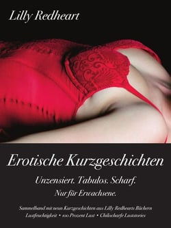 Erotische Kurzgeschichten - Unzensiert. Tabulos. Scharf. - Sammelband mit neun erotischen Geschichten