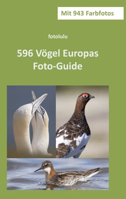 596 Vögel Europas - Foto-Guide