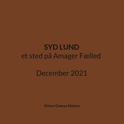 Syd Lund - et sted på Amager Fælled December 2021