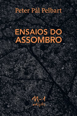 Ensaios do assombro