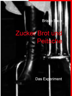 Zucker Brot und Peitsche - Das Experiment