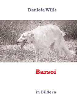 Barsoi - in Bildern