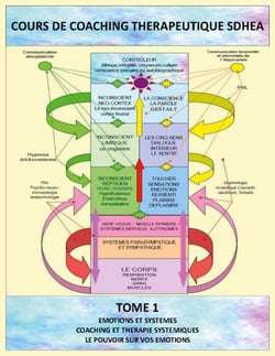 Analyse des systèmes et gestion des émotions - Coaching thérapeutique SDHEA