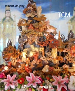 TCM - traditional Chinese medicine
