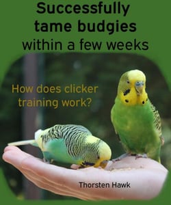 Successfully tame budgies within a few weeks - How does clicker training birds with budgerigars work? A step-by-step guide for budgies taming and parakeet training.