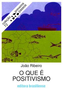 O que é positivismo