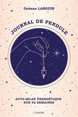 Journal de pendule : auto-bilan énergetique sur 52 semaines