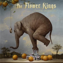 Waiting For Miracles - CD