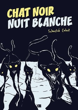Chat noir nuit blanche