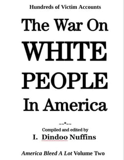 The War On White People In America: America Bleed A Lot Volume Two