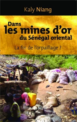 Dans les mines d'or du Sénégal oriental - La fin de l'orpaillage ?