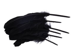 8 plumes 16 à 20 cm - Noir - Créalia