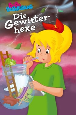 Bibi Blocksberg - Die Gewitterhexe - Roman