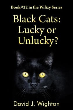 Black Cats: Lucky or Unlucky? - Wilizy, #22