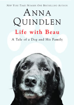 Life with Beau - A Tale of a Dog and His Family