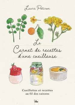 Le carnet de recettes d'une cueilleuse - Cueillettes et recettes au fil des saisons