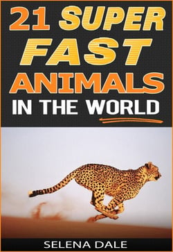21 Super Fast Animals In The World - Weird &amp; Wonderful Animals, #8