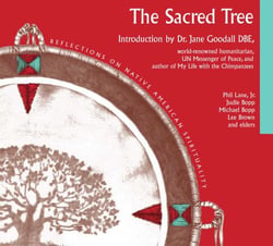 Sacred Tree - Reflections on Native American Spirituality