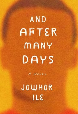 And After Many Days - A Novel