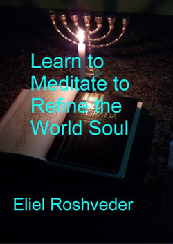 Learn to Meditate to Refine the World Soul - Prophecies and Kabbalah, #17