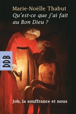Qu'est-ce que j'ai fait au Bon Dieu ? - Job, la souffrance et nous