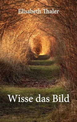 Wisse das Bild - Über die Poetik des Nennens in orphischer Tradition bei Pindar, Hölderlin und Rilke, ausgehend von der Bildwelt und Sprechweise im Ostrakon-Gedicht der Sappho