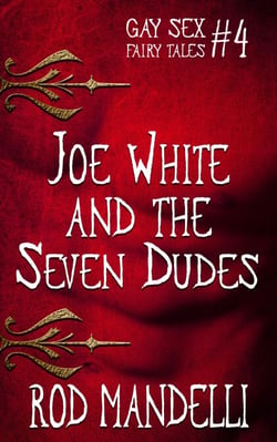 Joe White &amp; The Seven Dudes - Gay Sex Fairy Tales, #4