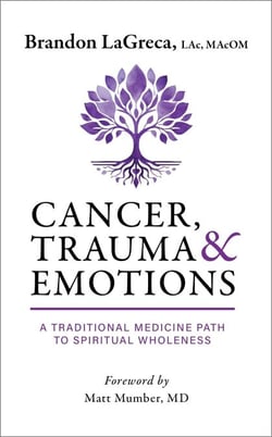 Cancer, Trauma &amp; Emotions: A Traditional Medicine Path to Spiritual Wholeness