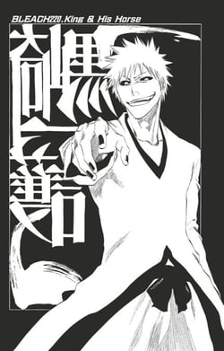 Bleach - T25 - Chapitre 220 - King &amp; His Horse